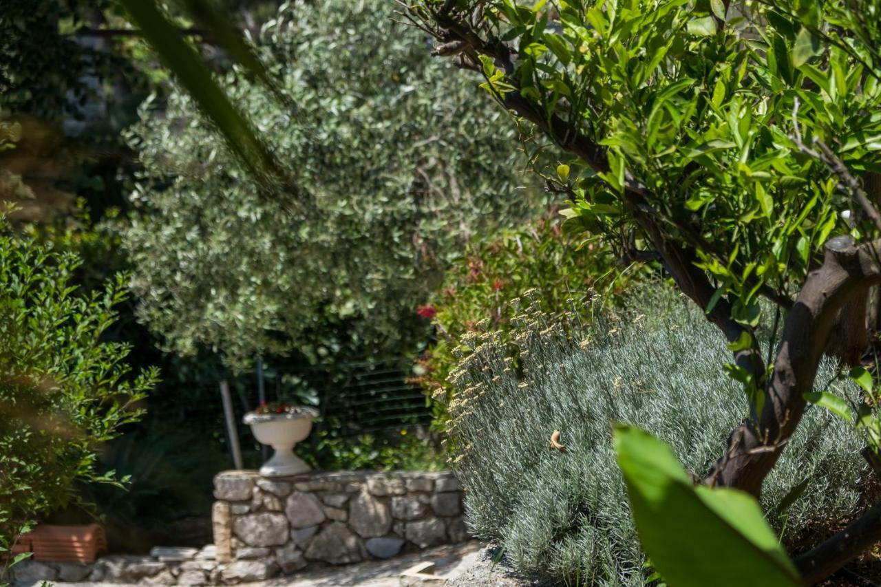 Villa Magnolia Mali Lošinj Eksteriør bilde