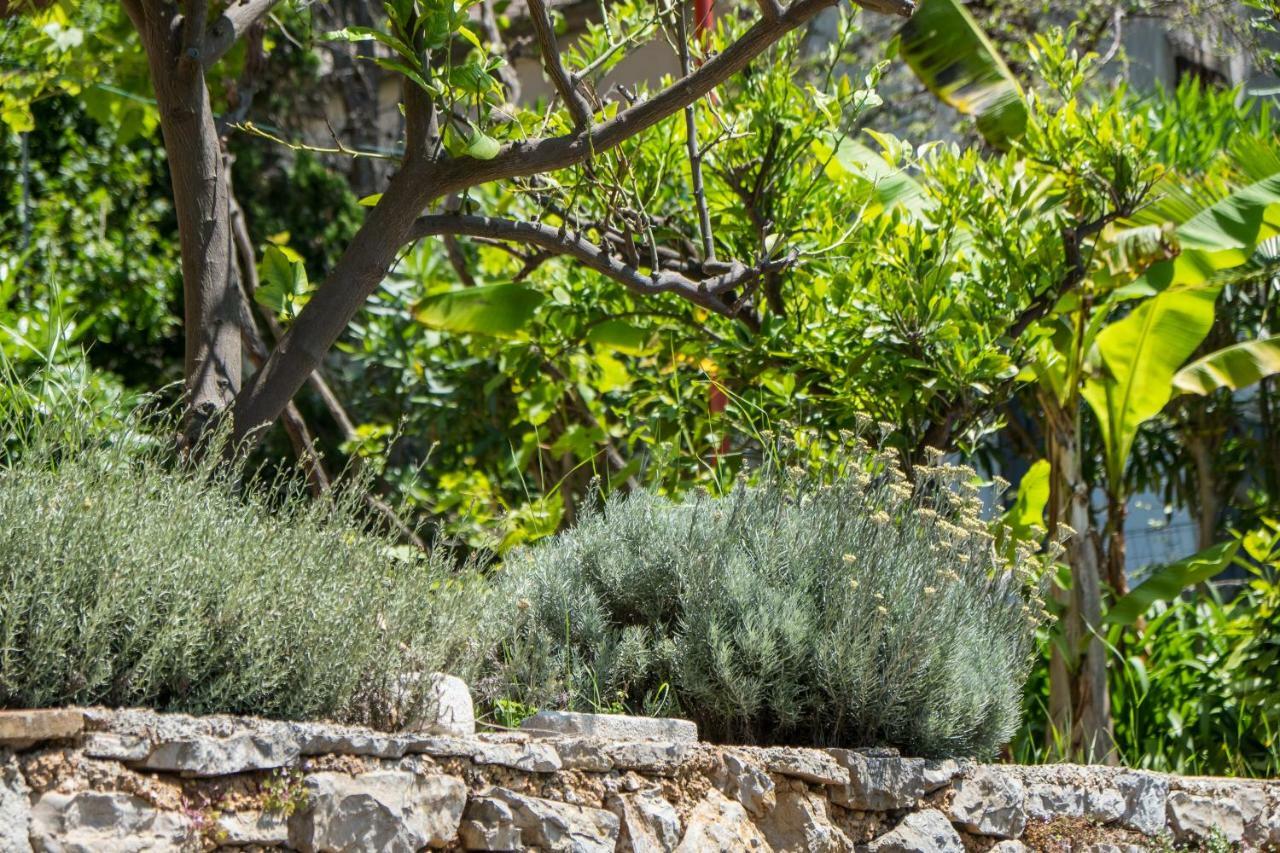 Villa Magnolia Mali Lošinj Eksteriør bilde